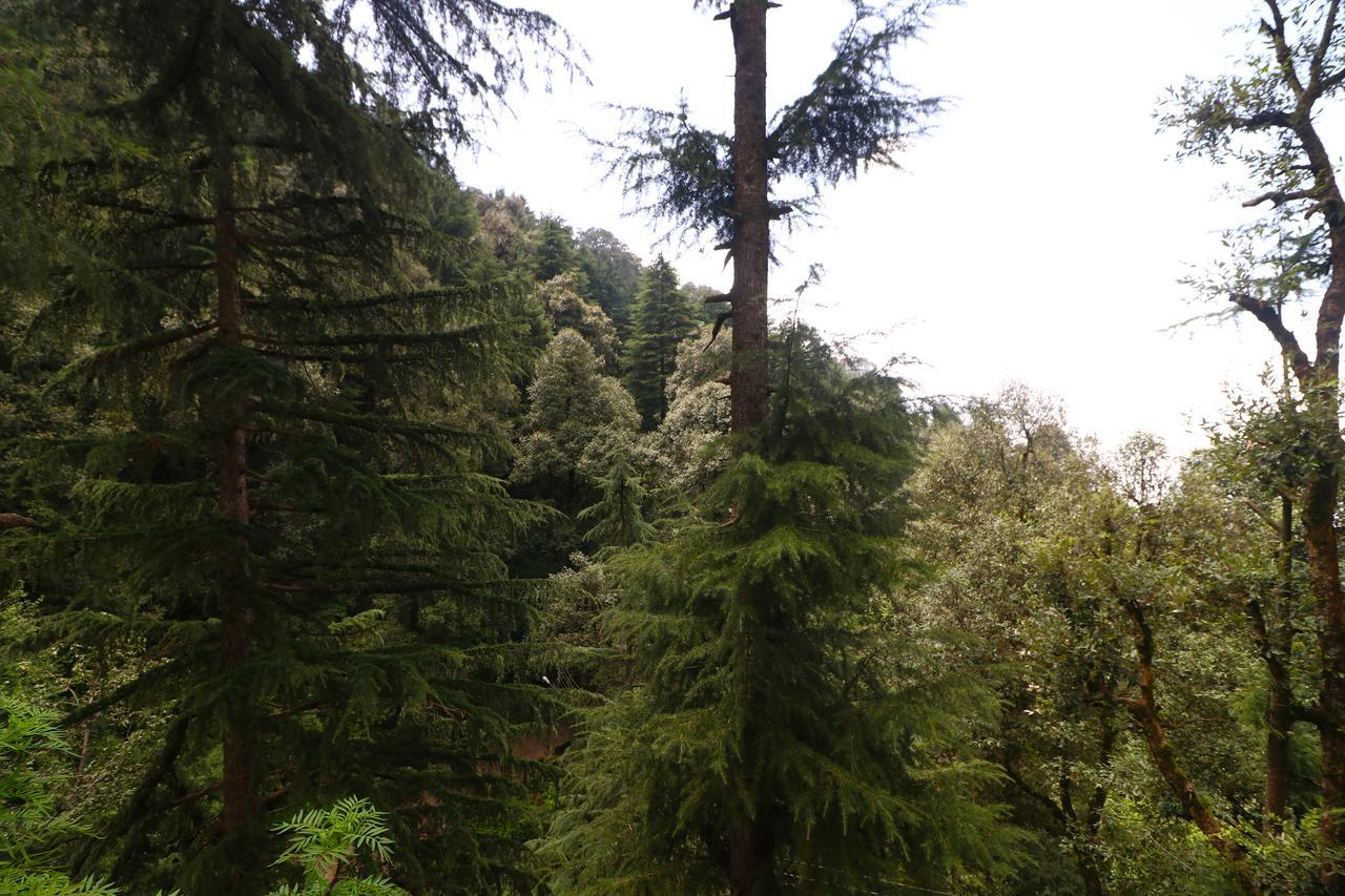 Vilasa Lall Ji Resort Dalhousie Ngoại thất bức ảnh
